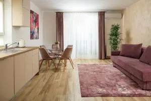 Brasov Holiday Apartments - 布拉索夫