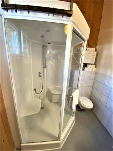 EXCLUSIVES Chalet an der SKIPISTE +Dampfbad +NETFLIX