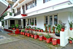 Thavihakklu Homestay 4BH, Kitchen, Coffee Estate