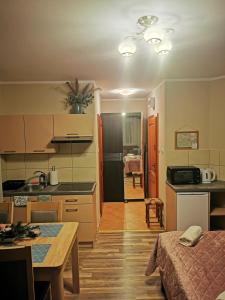 Apartament Przy Stoku Wilcza