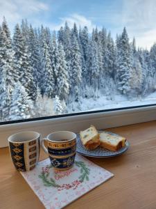 Котедж у горах "Місце Сили"