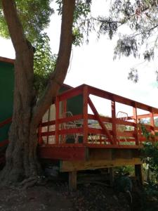 CABAÑA ZAPALLAR BOSQUE PLAYA Hz