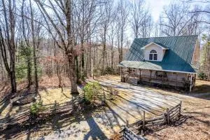 Bird House Cabin - Otto