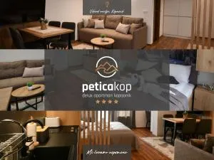 Apartman PETICA KOP A8 Kopaonik - Raška