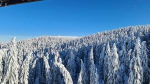 Mountain Chalet Kopaonik
