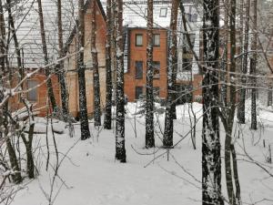 Apartman Divcigora Sokic 2