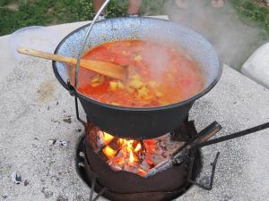 Tavi-fészek Fogadó