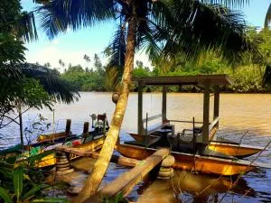 Green Orange Villa - Pelena