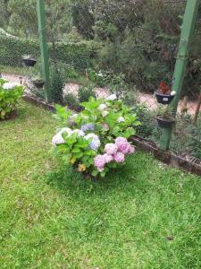 Casa LINDA TÉRREA e SUPER ACONCHEGANTE 3 Suítes