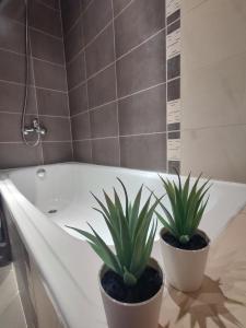 Luxury Suite Ilijana