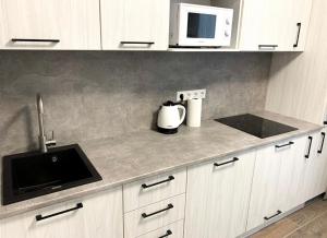 Luxe apartment, Kyiv, Lebediniy