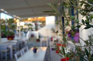 Avra Pension Ios Greece
