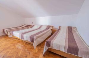 Apartments in Jadranovo 41876