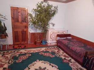 Guest house Shairkul - Kara-Sakal