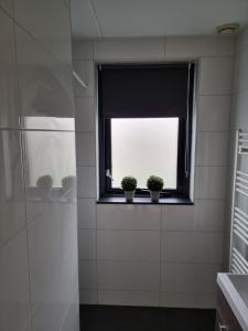 Vakantiewoning Maas en Waal 277