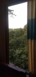 inn on the rock daambulla