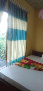 inn on the rock daambulla