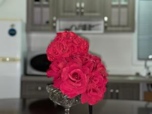 Giannis Swiss Apartments