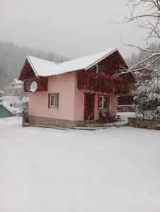 Holiday Home Melodiya Karpat
