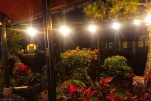 Designer Villa Tokyo