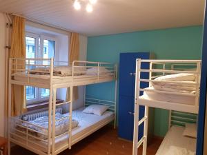 Single Bed in 6-Bed Dormitory Room room in Bellpark Hostel