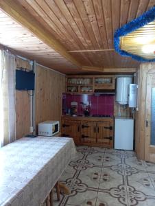 Holiday Home Melodiya Karpat