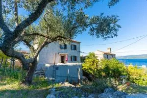 Apartmani Valun1 - Valun