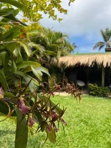 Pousada Vila Piola - 皮涅拉