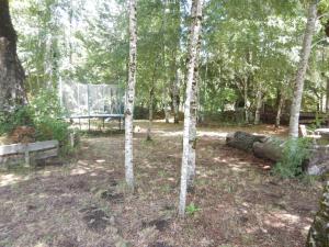 Entre Hualles y Pellines