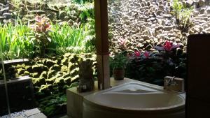 Biệt Thự 1 Phòng Ngủ (1 Bedroom Villa)