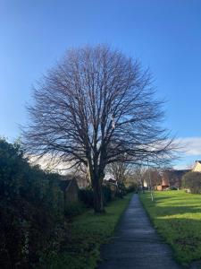 Entire Terraced two story redbrick house with parking in secluded cul de sac