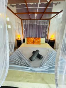 Bougain Villa Guesthouse