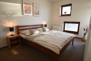 Apartmán DOKY Lipno