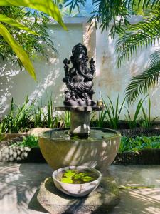 Bougain Villa Guesthouse