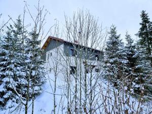 Chalets Le cerf-volant : photos des chambres