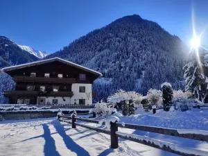 Haus Gartner 4-5 pers appartement - Sulzau