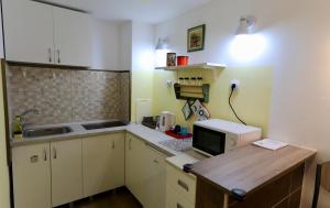 Central Ant Apartment