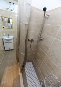 Central Ant Apartment