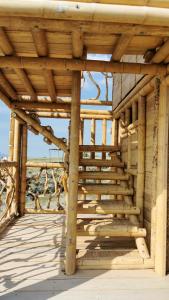 Pachingo Tatacoa Desert