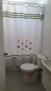 Departamento en VILLARRICA