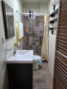 Apartamentos Milenario