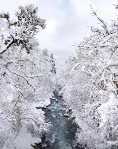 Appartements Entre Neige et Thermes : photos des chambres