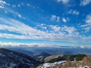 Silver Mountain Milmari