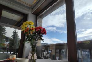 Mountain View 19 Zoned II Kopaonik