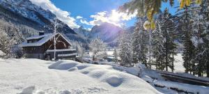 House Moose't Getaway, Kranjska Gora 