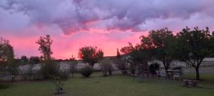 Migdal Oz aka Rufpatch