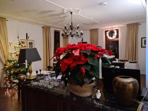 Hotel Charlotta