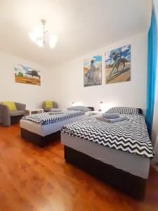 Apartament Bachusik