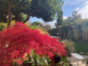 B&B / Chambres d'hotes Le Rez de Jardin Albi : photos des chambres