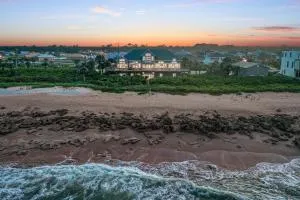 Pelicandipity - Cedar Landing